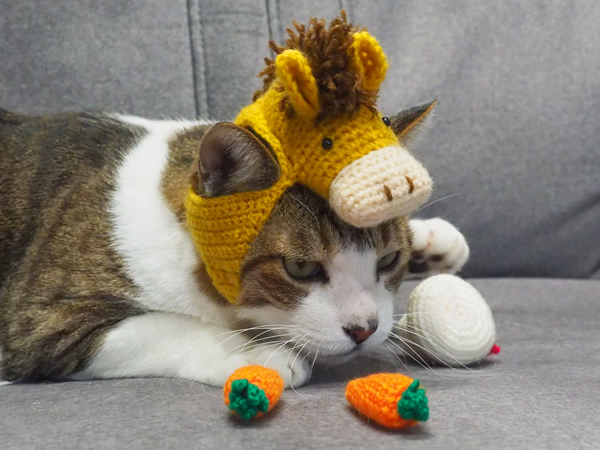 ねこの帽子 うまさん